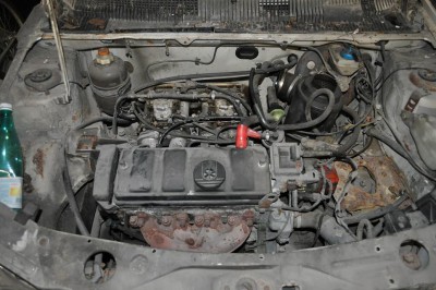 DSC_0010.JPG