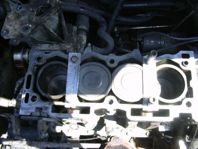 DSCN0383.JPG