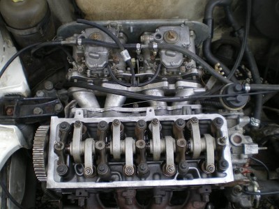 IMGP4224.JPG