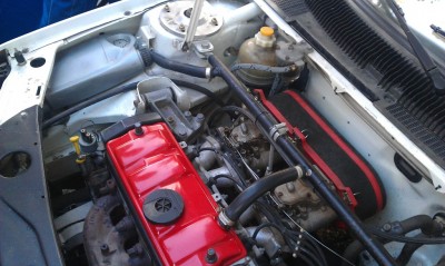 IMAG0838.jpg