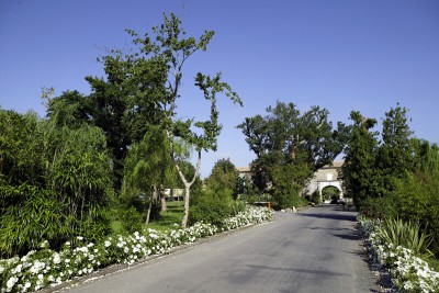 L'entrée