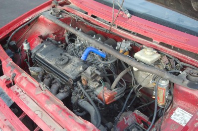 DSC_1955.JPG