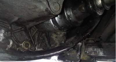 IMG00414-20120205-1552.jpg