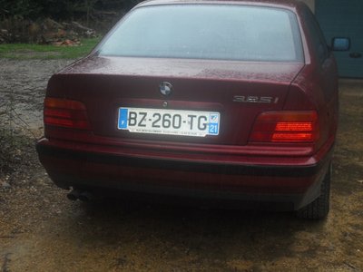 SDC14258.jpg