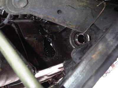 IMG00647-20120429-1811.jpg