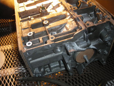 IMGP0005.JPG