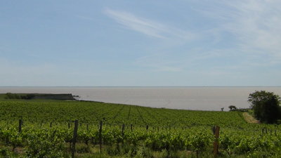 DSC00036.JPG
