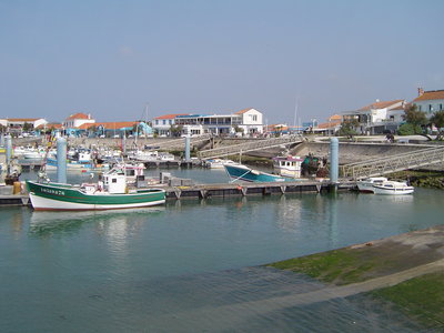DSC00307.JPG