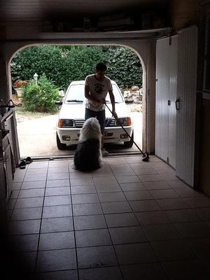 Je suis l'idole de mon chien