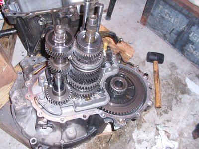 DSCI1748.JPG
