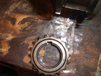 DSCI0957.JPG