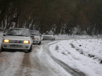 DSCN3601 (400x300).jpg
