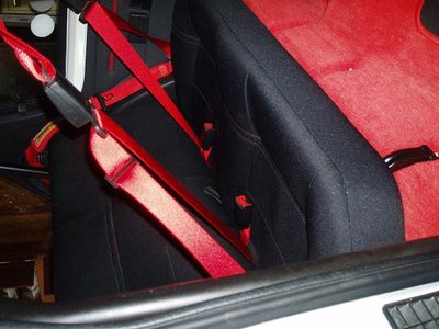 sellerie r2.JPG