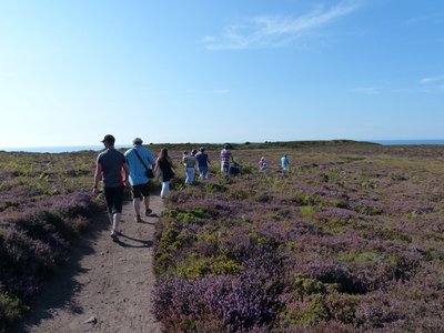 Image010.jpg