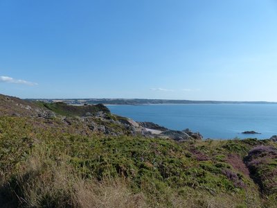 Image011.jpg