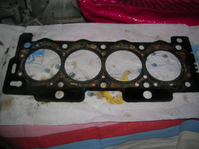 DSCN4256.JPG