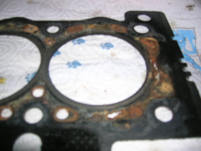 DSCN4255.JPG