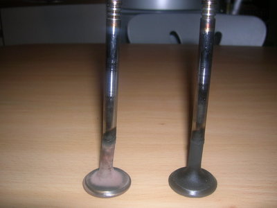 DSCN4281.JPG
