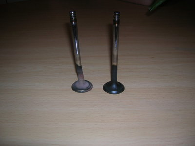 DSCN4284.JPG