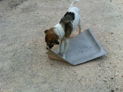 pendant que Tina s occupe de la garniture.......