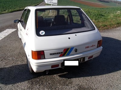DSCF1553.JPG