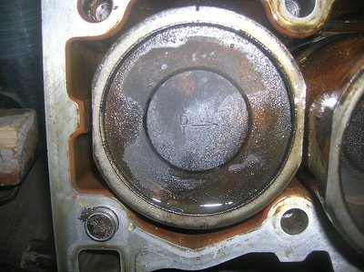 DSCN2771.JPG