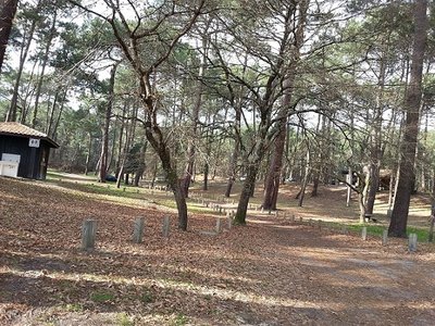 20150208_144732.jpg