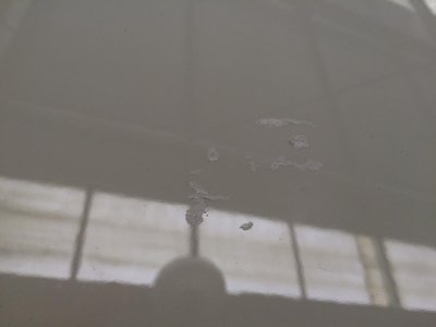 292 88.jpg