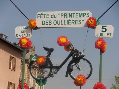 des vrai bêtes de course