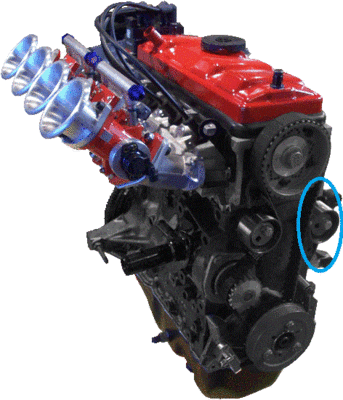 205_8s_0254.gif