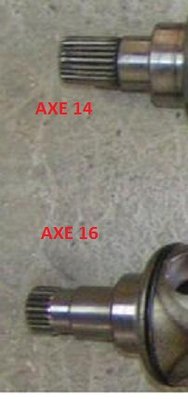 cardan_195.jpg
