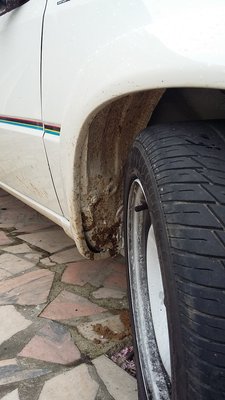 20160327_104950.1.jpg