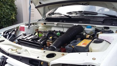 20160327_104829.1.jpg