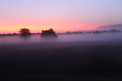 IMG_5444.JPG