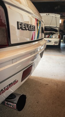 IMG_8252.jpeg