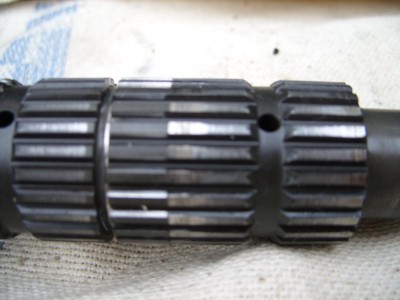 SS851572.JPG