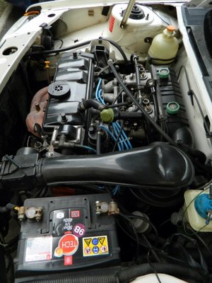 DSCN7148.JPG